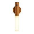 Rechargeable Motion Sensor Light